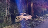 Auto s mladými lidmi vlétlo do lesa: Jeden nepřežil, tři jsou těžce zranění