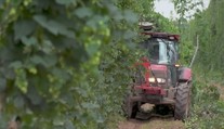 Dohoda s Mercosurem slibuje levnější potraviny. Ohrozí nás to, varují zemědělci