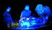 Divoký hon na zdrogovaného řidiče čtyřkolky. Policisté ho tahali z potoka