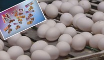 Nebezpečné sušenky s fipronilem ze Slovenska byly i v Česku