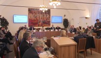 Za práci v podvýborech berou poslanci desetitisíce. Některé se sešly jen jednou