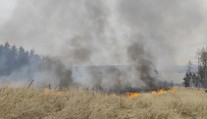 V Česku řádily hned dva lesní požáry. Situaci zhoršil vítr