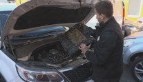 Pozor na kuny v motoru auta. Oprava vás může vyjít draho