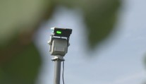 Vinaři odhánějí špačky z úrody různými plašiči. Jedním z nich je i laser