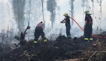 U Olomouce vzplál hektar lesa. Takto to vypadá v kouřovém pekle