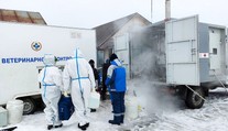 V Rusku se objevila nákaza antraxem. Jedna z obcí je v karanténě