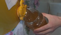 Zpřísní se pravidla pro dovoz medu. Vyhláška bojuje proti falšovaným výrobkům