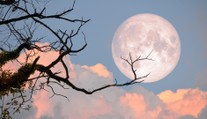 První superúplněk roku přijde už v lednu. Doprovodí ho meteorický roj
