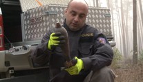 Les je i po čištění stále plný munice. Podle sanační firmy je to sabotáž