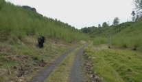 Požár v Českém Švýcarsku: Krajina by se měla zotavit ještě letos