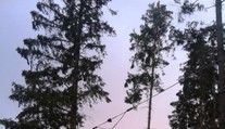 Práce energetiků nebere konce! Sotva odstraní jednu poruchu, jedou k další