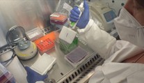 Testy DNA pomáhají zabránit nemocem. Odhalí i otcovství ještě před porodem
