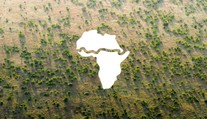 Africké země se spojily. Přes 20 z nich tvoří Velkou zelenou zeď