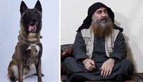 Trump vzdal hold psímu hrdinovi. Zranil se při dopadení vůdce ISIS