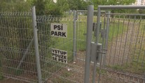 V Mladé Boleslavi řeší falešné cedule. Ohlašují zrušení psího parku