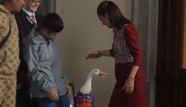 Komický moment na MS. Prezidentku Mexika chtěl kousnout maskot, video je virální