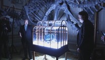 Vědci vytvořili unikátní kabelku. Je potažená kůží tyranosaura