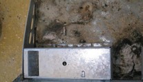 Zákazníkům měli říct, že slaví MDŽ. Pekárnu ale zavřeli kvůli myším