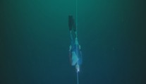 Freediver pokořil na Bahamách posedmé rekord. Potopil se do hloubky 120 metrů