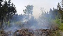 Požár lesa na Liberecku! Hasilo 13 jednotek hasičů i vrtulník
