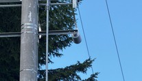 Neštěstí na Náchodsku. Elektrikář zemřel po zásahu proudem