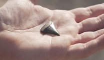 V Belgii se rozmohlo nové hobby. Lidé na plážích hledají fosílie