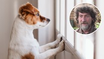 Konec karantény! Rady, jak připravit pejska na náš odchod do práce