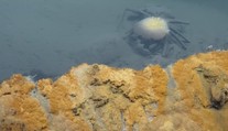 SMRTÍCÍ JEZERO na dně zálivu: Nikdo se z něj nevrátí živý! VIDEO