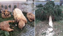 Zničený betlém, podťatý vánoční strom. Vandalové řádí!