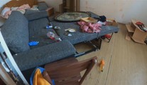 Šluknov sužují švábi. Byty jsou jich plné a s dětmi se dostávají i do škol