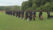 Policie hledá nejlepšího služebního psa. Na soutěž se sjeli z celé republiky