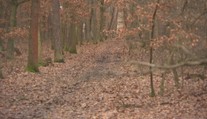 V Klánovickém lese se nevraždilo poprvé. Spojena je s ním spousta tragédií