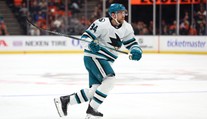 NHL přijde o dalšího Čecha. Držitele Stanley Cupu a mistra světa zlákala Ženeva