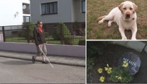 Úřady odmítly nevidomému přispět na nového psa! Prý na něj nemá nárok