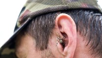 V ženině uchu žil pavouk. Nejde o ojedinělý případ, varují lékaři