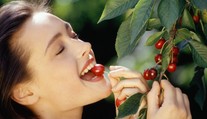 Začíná sezóna třešní! Kde si je můžete natrhat zdarma? PŘEHLED