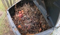Recyklace bioodpadu je stále populárnější. Jeho odvoz je často zdarma