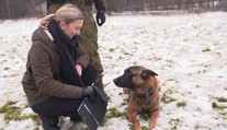 Drsná služba psů u Vojenské policie: Kynolog popsal, jak vypadá psí důchod