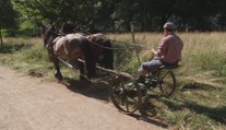 Louky v Pardubicích bude udržovat historická sekačka. Táhnou ji dva koně