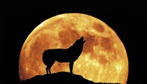 Kukuřičný úplněk přichází! Přináší s sebou období plné změn