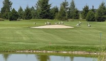 Ojedinělá podívaná v Mladé Boleslavi! Několik čápů tam "hrálo" golf