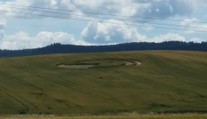 FOTO: Kruh v obilí u Rokycan. Kde se tam vzal?