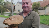 Pan Jaromír našel obří hřib. Patří k českým rekordmanům, pyšní se