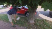 Lidé si mohou adoptovat strom. Pomůže jim speciální aplikace