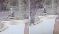 Podezřelý se po útoku psa přihlásil, majitelem není! Dítě je v kritickém stavu