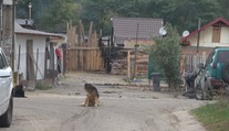 Válka romských klanů! Létající kameny, zápalné lahve i střelba!
