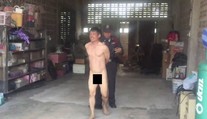 Obšourníka nachytali při sexu s krávou! Vláčeli ho nahého ulicemi