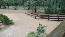 Zoo Ostrava zaplavila voda. Chovaná zvířata přemístili, jiná si prý poradí