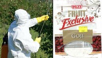 V superpotravině našli pesticidy! Inspekce varuje před goji