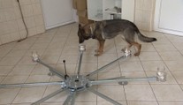 Muži byli odsouzeni kvůli pachovým stopám. Zastal se jich Ústavní soud